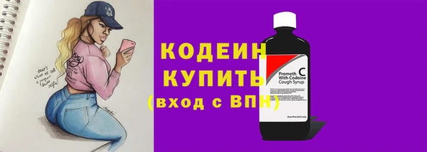 прущая мука Вяземский