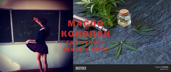 прущая мука Вяземский