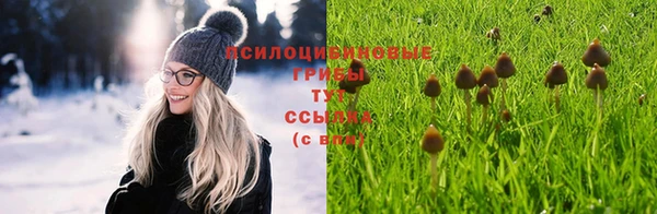 дурь Вязьма