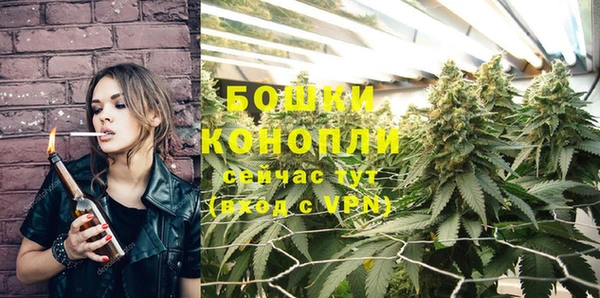 прущая мука Вяземский