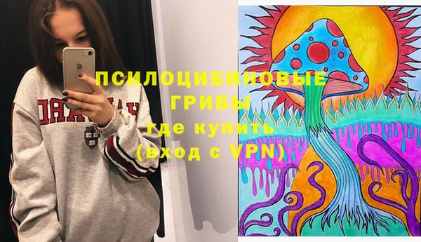 крисы Волоколамск