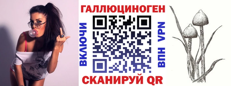 Галлюциногенные грибы Magic Shrooms  Купить где  Иваново 